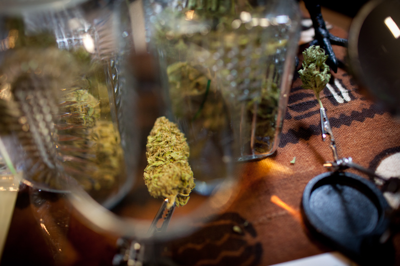 More than 600 people showed up Sunday for Seattle's first Cannabis Farmer's