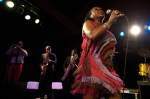 Sharon Jones at the Showbox SODO in June.