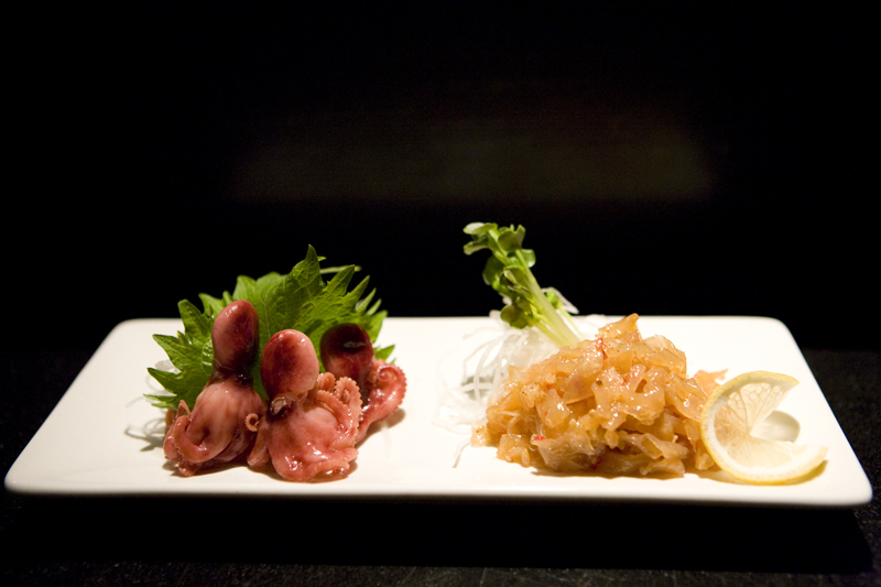 Exotic Baby Octopus and Jelly Fish.