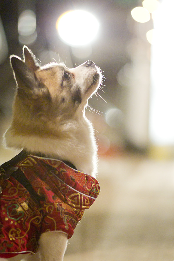 Here, Gum Gum waits to hear from the judgeaE¦