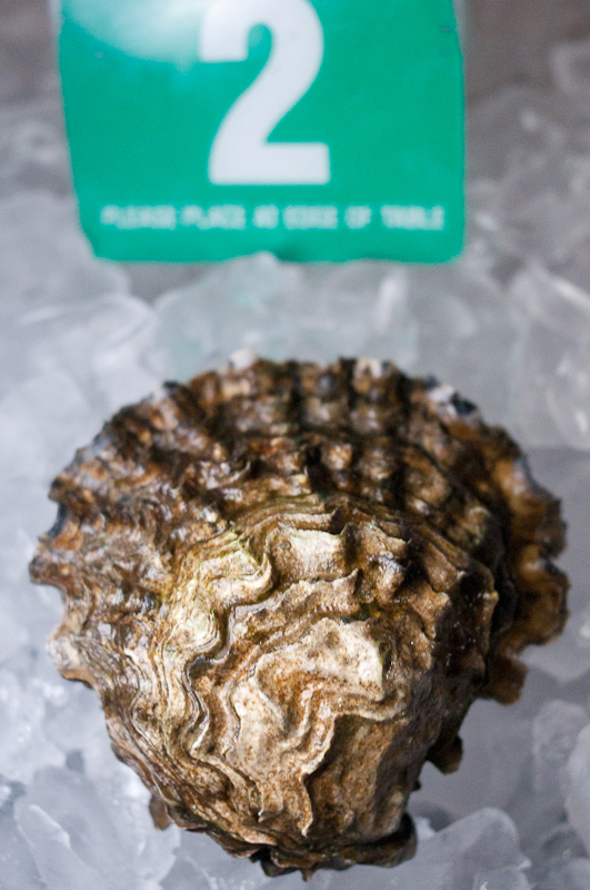 This oyster from Penn Cove Shellfish, LLC, won the bash's prestigious 'most beautiful' award. According to company officials, this is the seventh or eighth time their oysters have won the award.