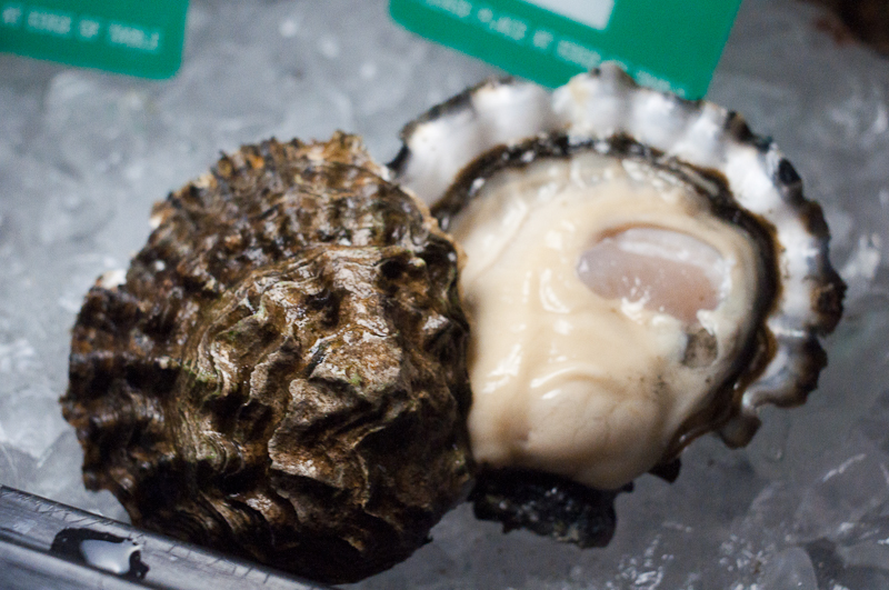 The 'most beautiful' oyster reveals herself, causing a brief scandal amongst the event's attendees. Fun fact: The man who grew this oyster, Diz Schimite, won the national oyster shuckingcompetition about 25 years ago.