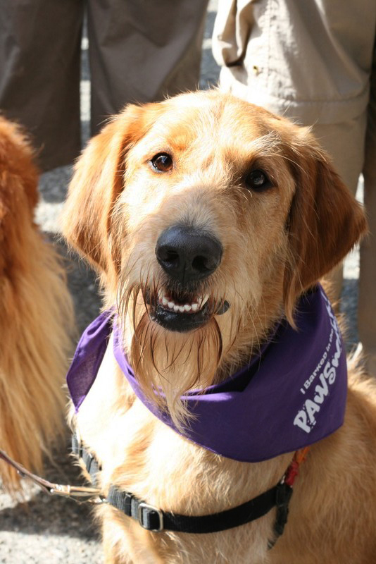 Saturday dawned bright for dogs, and the people who love them, to