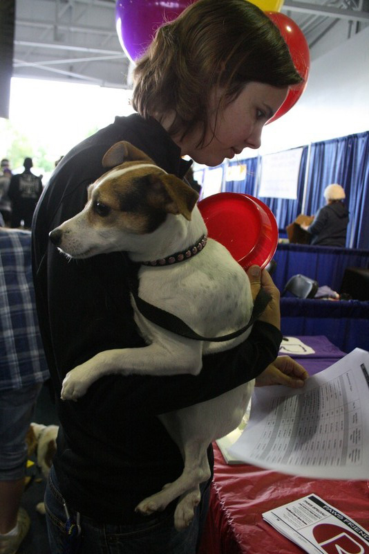 Saturday dawned bright for dogs, and the people who love them, to