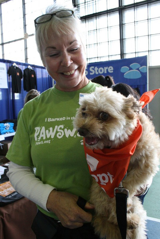 Saturday dawned bright for dogs, and the people who love them, to