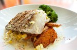 Striped Sea Bass with broccoli, fingerling potatoes, creamed sweet corn.