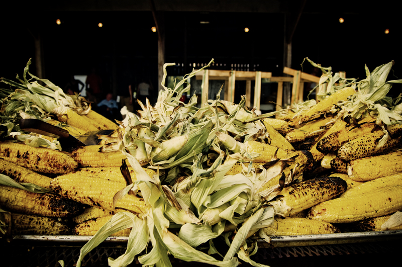 For the past three years, the wild lands north of Seattle have