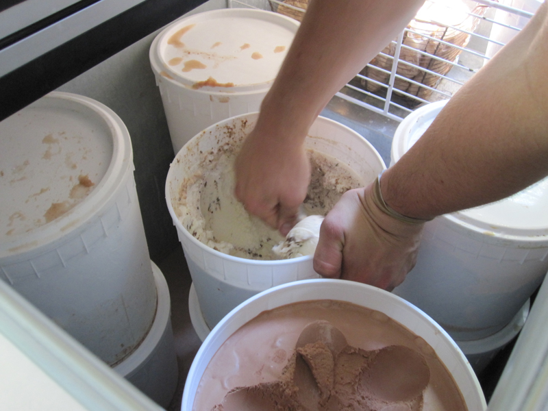 Everyone loves ice cream and a lot of people really love Molly