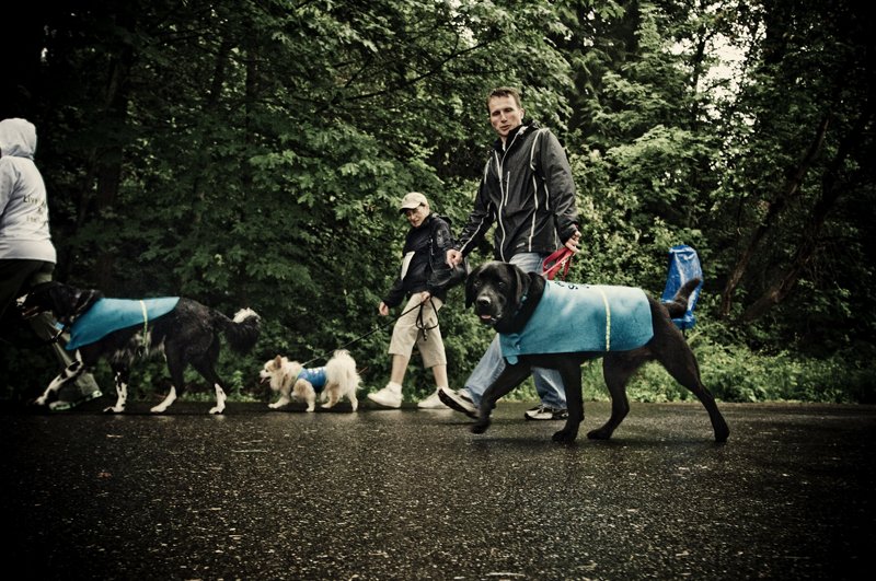 On Sunday June 20th, the 11th annual Furry 5K took place in