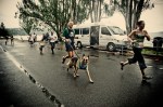 On Sunday June 20th, the 11th annual Furry 5K took place in