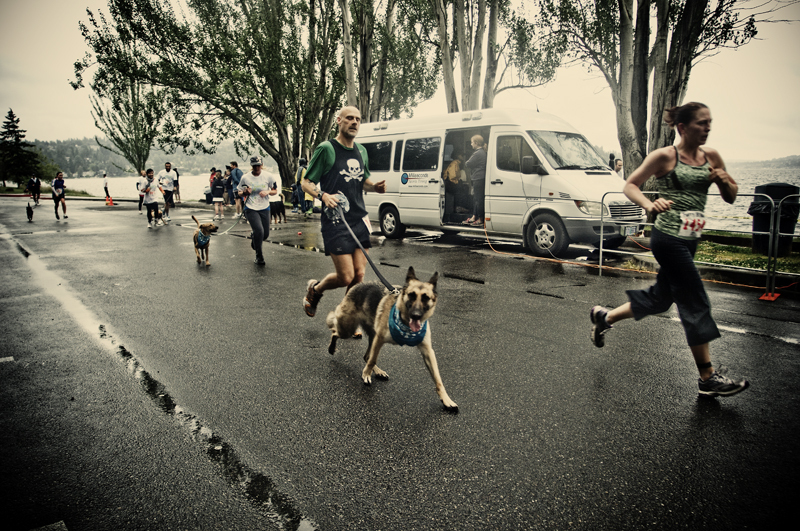 On Sunday June 20th, the 11th annual Furry 5K took place in