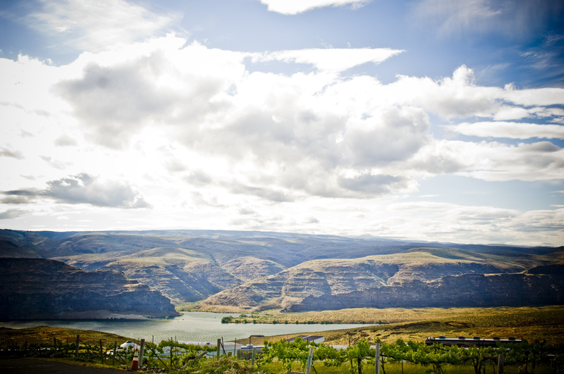 Weren't able to make it over to the Gorge this weekend? Here