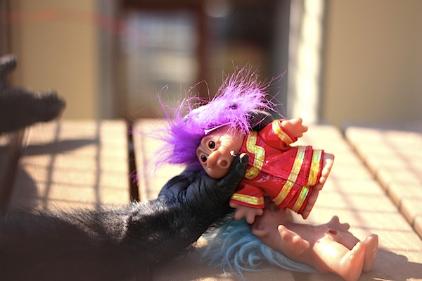 The world once went gaga over a gorilla named Koko and her