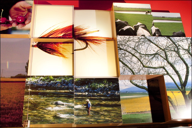 Steelhead Diner's fly fishing-themed wall decor.
