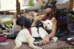 Vash, from Arcada, California, and his best buddy, Starr, escape the downtown heat.A  They came up for Hempfest with a few other travelers, including his brother, Michael.