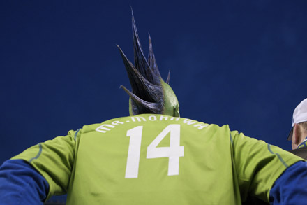 Here's a look at the action on the field and off during