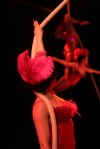 Moisture festival's first evening of burlesque opened at the ACT Theatre on