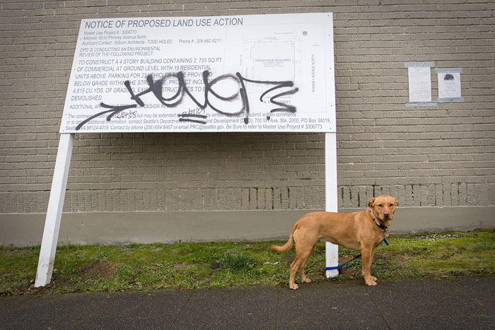 This guy will be there.