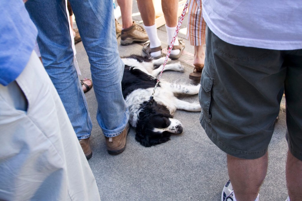 Our weekly slideshow of local faces gets out of the city. All