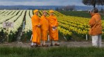 Monks and tulips.