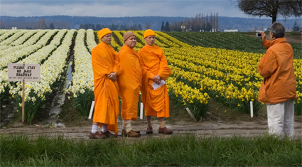 Monks and tulips.
