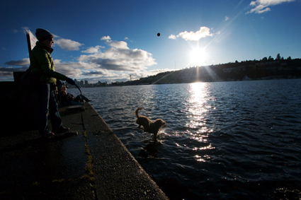 Photo of the Day, Jan. 30. Clearly Coco isn't fazed by chilly Lake Union.