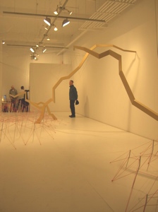 Eric Eley's installation at Platform Gallery.