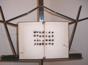 At Corridor Gallery there are some strange and wonderful works in apple, hair, and wax by Leah Libow.