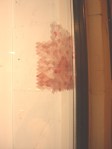 My favorite work of the evening, composed by Ariana Page Russell. Scallops in various shades of pink are layered over each other on the wall, while translucent temporary tattoos are affixed to the window of Platform.