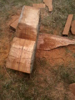 Courtesy Argosy Cruises