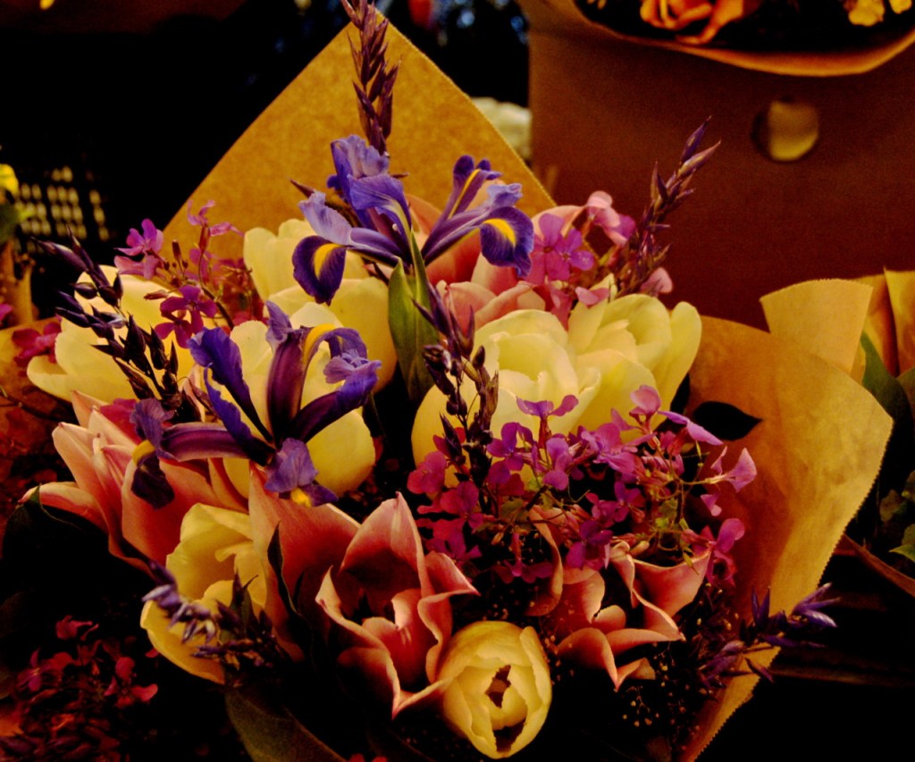 Dave Bezaire & Suzi Havens Bezaire