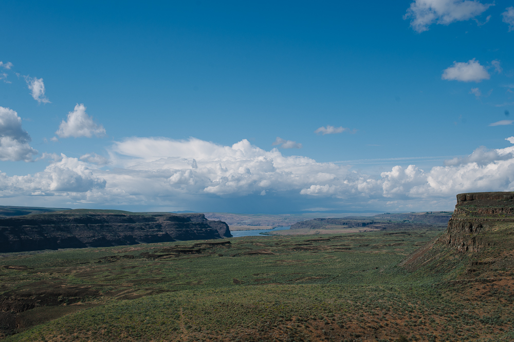at Sasquatch! 2013 - Photo By: Amber Zbitnoff