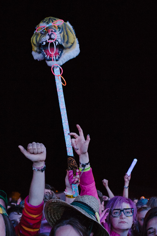 at Sasquatch! 2013 - Photo By: Amber Zbitnoff