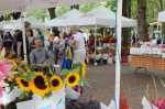 Fresh peaches from Martin Family Orchards at the large gathering of Pike’s market vendors and shoppers in Occidental Park.
