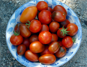 Lionel & Heidi via Flickr