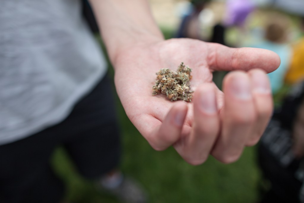 A palmful of pot is displayed before going down the hatch.