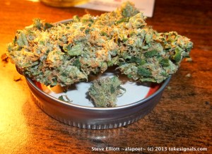 I’ve said it before, but it bears repeating: Medical-marijuana farmers markets are