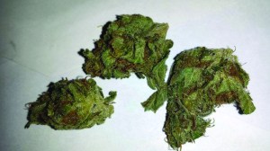 Funk Skunk (sativa-dominant), $11/gram