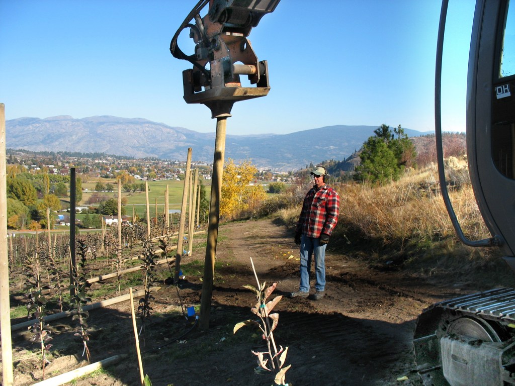 Carter watches an excavator pound poles for a deer fence on his orchard.Photo by Nina Shapiro