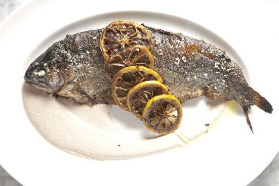 Fish at The Whale Wins (photo by Joshua Huston)