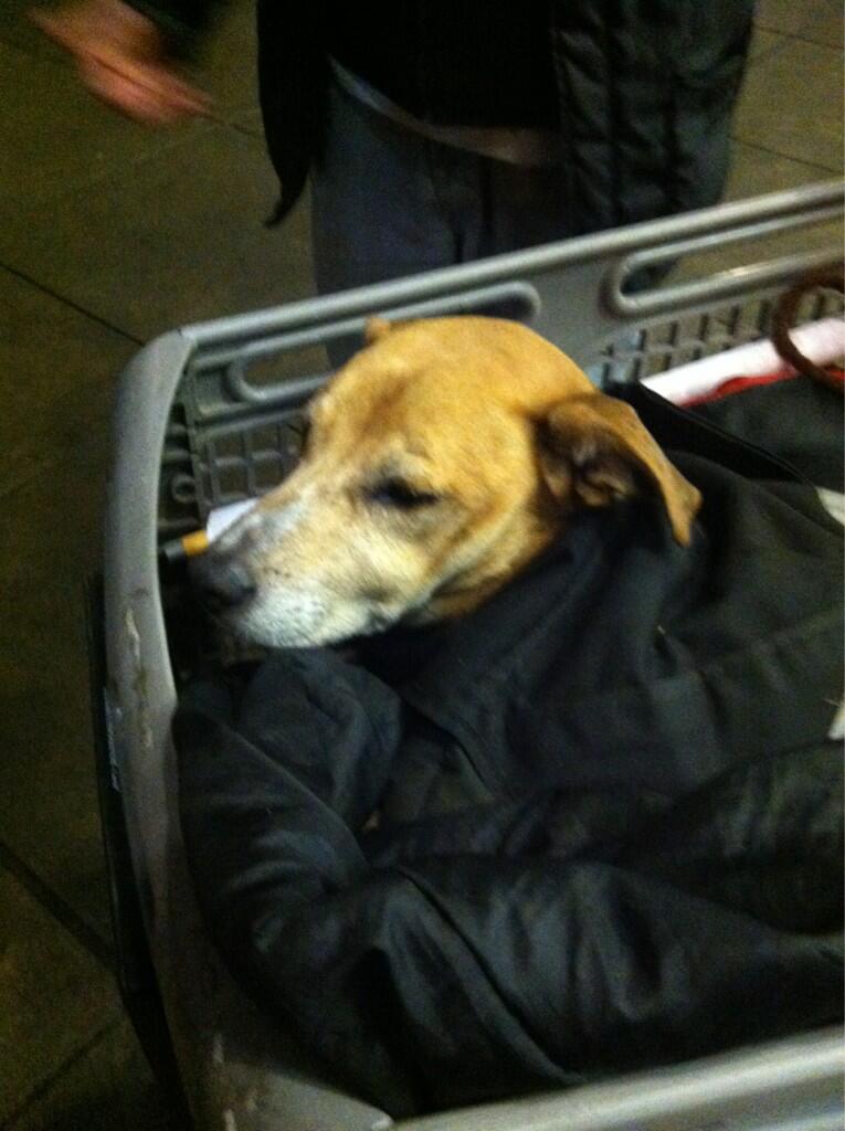 They say you can never have too much of a good thing.