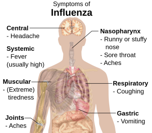 According to the state Department of Health, there have been 19 lab-confirmed