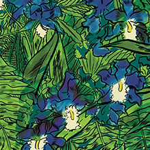 ENTER TO WIN HEREShowbox and KEXP Presents: Higgins Waterproof Black MagicSunday |