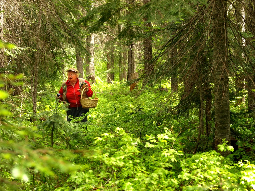 Photo By Machel Spence