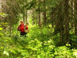 Photo By Machel Spence