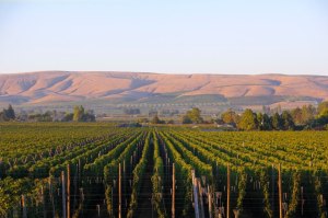 Your Daily Dose of Food News, Events and Must-Read Miscellany 1. The