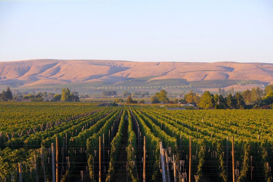 Your Daily Dose of Food News, Events and Must-Read Miscellany 1. The