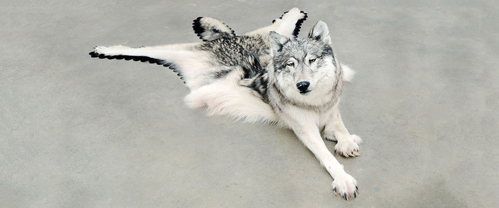 Galanin's Inert, at the Frye.Wayne Leidenfrost/Vancouver Sun