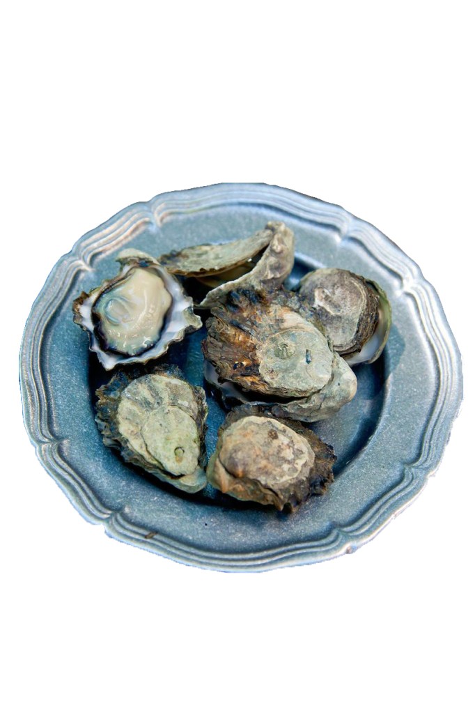 Photo by Kelly Cline