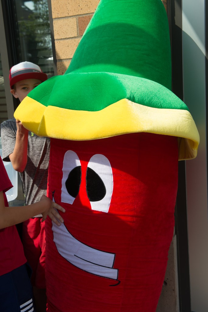 This huge chili pepper was waiting to be taken and cached somewhere "hidden" though, where would he be able to hide? Photo by Morgen Schuler